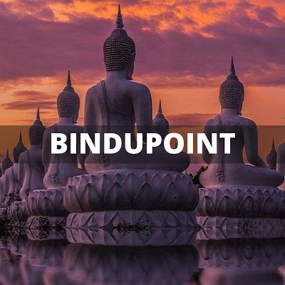 Bindupoint